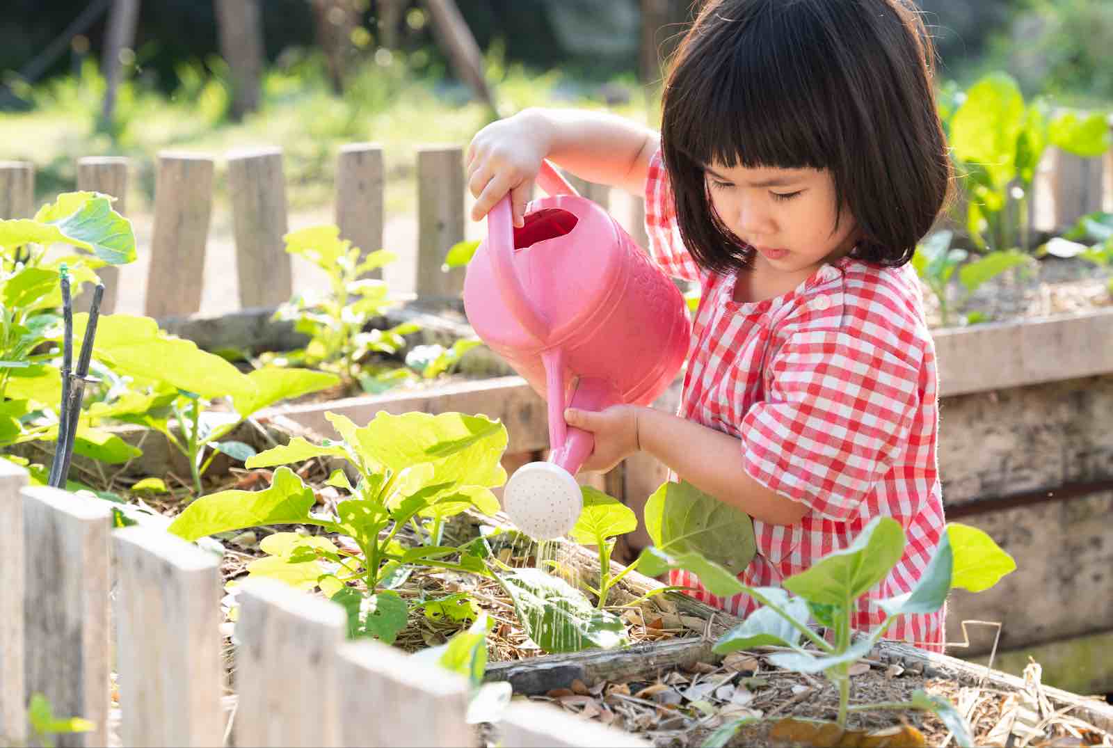 Early Childhood Watering Plants